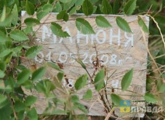 Письмо в редакцию: Ирма – берёза, Васька – дубок