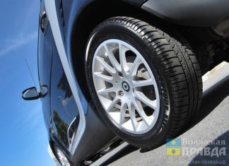 Битва за место под деревом