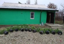 Выращивал и хранил для личного пользования: в Волгоградской области конфисковали 1,6 кило конопли