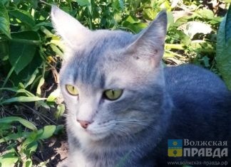 Хлебнувший горюшка Малыш оценит искреннее добро