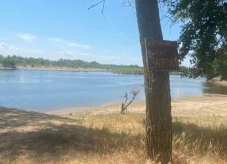 купаться запрещено