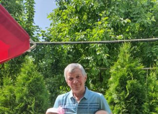 «Моя дача — моя гордость»: волжанка Екатерина Лопасова высаживает туи при рождении внуков