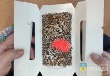 По 15 ловушек каждые 10 дней: волжанка из «тысячника» умоляет «Ладу Дом» спасти её от тараканов