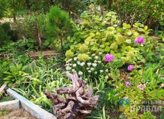 Открыто «народное голосование» во Всероссийском конкурсе на лучший дом и двор