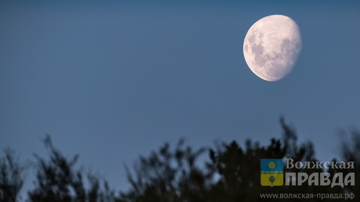 Лунный календарь стрижек на август 2023: как стать самой красивой с помощью магии Луны