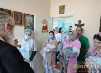 В Рождественскую ночь на свет появились трое маленьких волжан