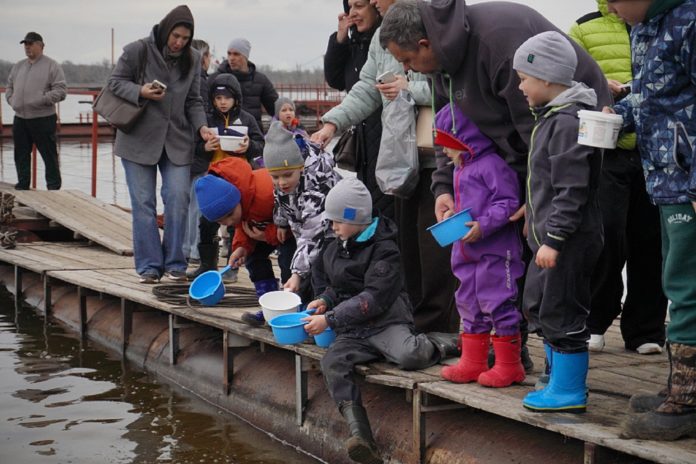 мальки, волонтёры