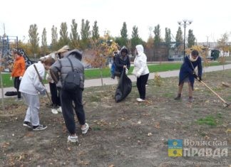 В Волжском стартовал традиционный месячник по благоустройству