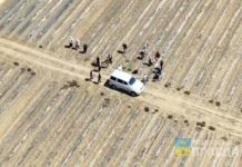 На полях Волгоградской области квадрокоптеры отследили 28 нелегалов
