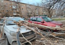 В Волжском ураган нарушил электроснабжение и ломал деревья