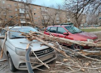 В Волжском ураган нарушил электроснабжение и ломал деревья