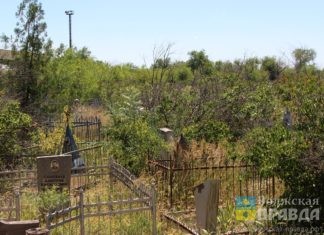 Похоронный бизнес планируют оцифровать и вывести из тени старое кладбище