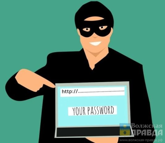 Волгоград предупредили о фейковых рассылках от ФНС