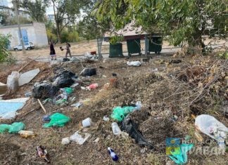 В Волгоградской области за мусор предприятиям выписали штрафы на 4 миллиона рублей