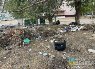Волжане рассуждали про футбол под облаками, украденную память и мусорный ветер