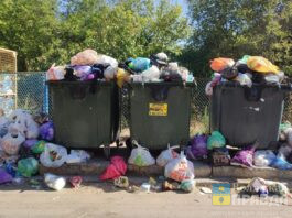 В Волжском организовали горячую линию по вопросам по вопросам вывоза ТБО