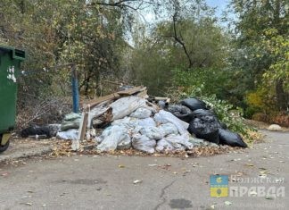 Волжане пожаловались на гору мусора в центре города