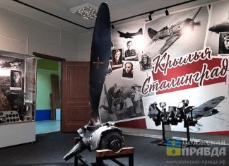 Сбитые самолёты и останки экипажей: волжские поисковики развивают проект «Крылья Сталинграда»