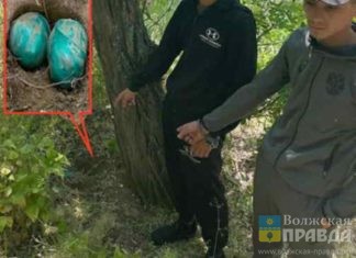 Волжские полицейские задержали двоих иностранцев-закладчиков