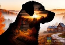 Дедовские плачи: традиции 7 ноября