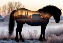 Гурьян без коня, что зима без января: традиции 28 ноября