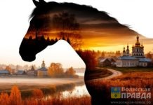 «Конюхам отдых, коням — роздых»: традиции 1 ноября