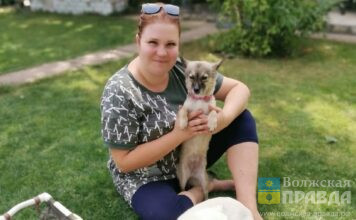 Без языка и с пулей в позвоночнике: у волжанки в квартире живут 16 животных-инвалидов