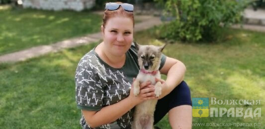 Без языка и с пулей в позвоночнике: у волжанки в квартире живут 16 животных-инвалидов