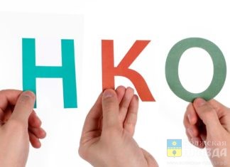 «Единая Россия» предложит Президенту и Правительству новый пакет мер поддержки НКО в связи с пандемией