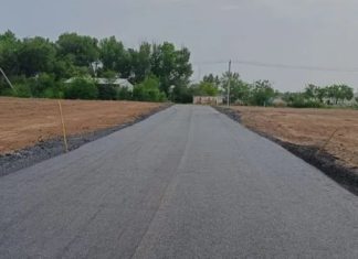 В волжский парк «Ноосфера» в речпорту теперь ведёт новая дорога