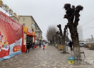 В Волжском за самовольную обрезку вандалы заплатят полмиллиона рублей