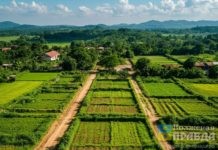 28 участков на 6 улицах: в Волжском нарезали бесплатную землю под индивидуальную жилую застройку