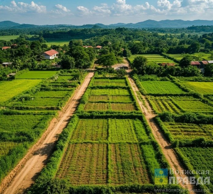 участки земля