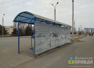 Волжане говорят об остановках, обрезке деревьев, грязном дворе и больничной эпопее с травмой