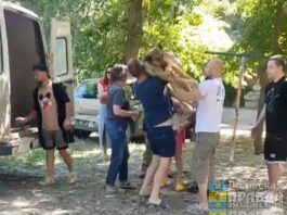 В Волгограде наказали активиста, «отбившего» собаку у отлова, а МБУ «Северное» выдали предписание