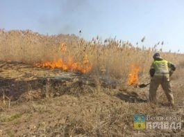 В Волжском вспыхнул большой пожар в СНТ огонь