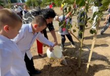 Город дышит весной: в Волжском высадят 12 тысяч деревьев и кустарников