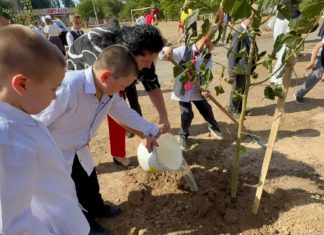 Город дышит весной: в Волжском высадят 12 тысяч деревьев и кустарников
