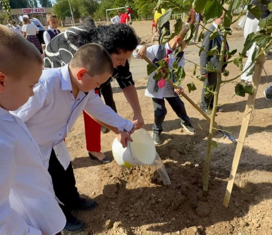 Город дышит весной: в Волжском высадят 12 тысяч деревьев и кустарников