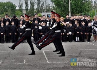 Волжские ветераны ко дню Сталинградской Победы получат единовременные выплаты