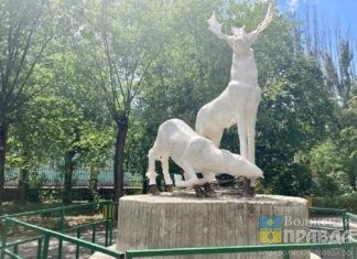 В парк «Гидростроитель» в Волжском вернулся лесной олень