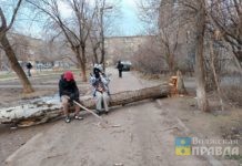 Проблемы с водой и светом решаются: в мэрии Волжского прокомментировали ситуацию с ураганом