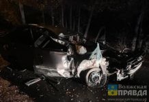 У лежбища бомжей: в Волжском у овощехранилища «Заря» ночной гонщик снёс дерево и погиб