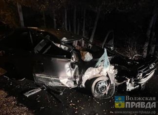 У лежбища бомжей: в Волжском у овощехранилища «Заря» ночной гонщик снёс дерево и погиб