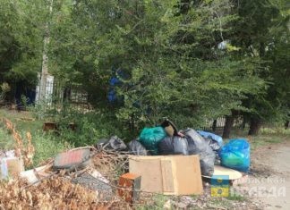 Чисто не там, где убирают: жители Волжского сами устроили мусорку напротив «ПЛАНЕТАЛЕТО»