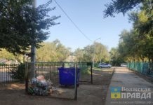 Пени – простят: в Волгоградской области регоператор по вывозу мусора поощрит тех, кто погасит долги