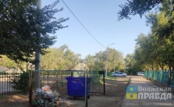 Пени – простят: в Волгоградской области регоператор по вывозу мусора поощрит тех, кто погасит долги