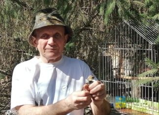 Волжанин проводит научный эксперимент, скрещивая два разных подвида пернатых