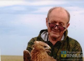 Лет через пять степного орла в Волгоградской области не будет, полагает орнитолог из Волжского