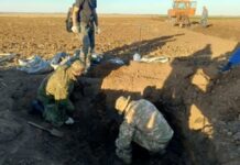 В Волгоградской области поисковики нашли останки 21 защитника Сталинграда